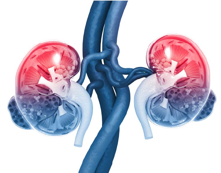 AKI_kidney_sciomics AKI_kidney_sciomics